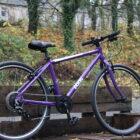 A purple Frog brand children's bike against a leafy background